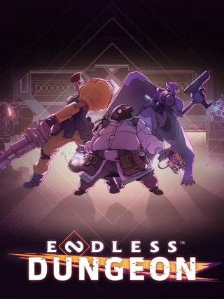 Endless Dungeon couverture