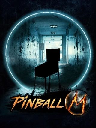 Pinball M couverture