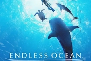 Endless Ocean: Luminous couverture